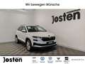 Skoda Karoq Selection 1,5 TSI MATRIX COLUMBUS ACC KESSY Weiß - thumbnail 1