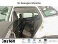 Skoda Karoq Selection 1,5 TSI MATRIX COLUMBUS ACC KESSY Weiß - thumbnail 8