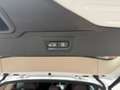 BMW X5 xDrive 30dA Blanco - thumbnail 19