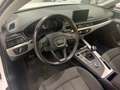 Audi A4 A4 Avant 2.0 tdi Business 122cv White - thumbnail 10