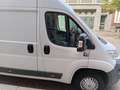 Fiat Ducato - thumbnail 3