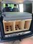 Volkswagen T5 Multivan Multivan 2.0 bitdi Highline 4motion 180cv dsg Noir - thumbnail 13