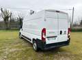 Fiat Ducato 35 LH2 2.3 mjt 140cv E6d-temp +iva Weiß - thumbnail 4