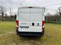 Fiat Ducato 35 LH2 2.3 mjt 140cv E6d-temp +iva Weiß - thumbnail 8