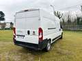 Fiat Ducato 35 LH2 2.3 mjt 140cv E6d-temp +iva Weiß - thumbnail 5