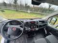 Fiat Ducato 35 LH2 2.3 mjt 140cv E6d-temp +iva Weiß - thumbnail 9