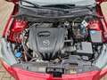 Mazda 2 Limousine Kizoku Navi Allwetter uvm. Rot - thumbnail 4