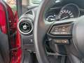 Mazda 2 Limousine Kizoku Navi Allwetter uvm. Rot - thumbnail 18