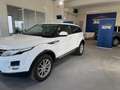 Land Rover Range Rover Evoque 2.2 TD4 5p. Pure Tech Pack Wit - thumbnail 7