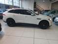 Jaguar F-Pace F-Pace 2015 2.0d Prestige awd 180cv auto Bianco - thumbnail 2