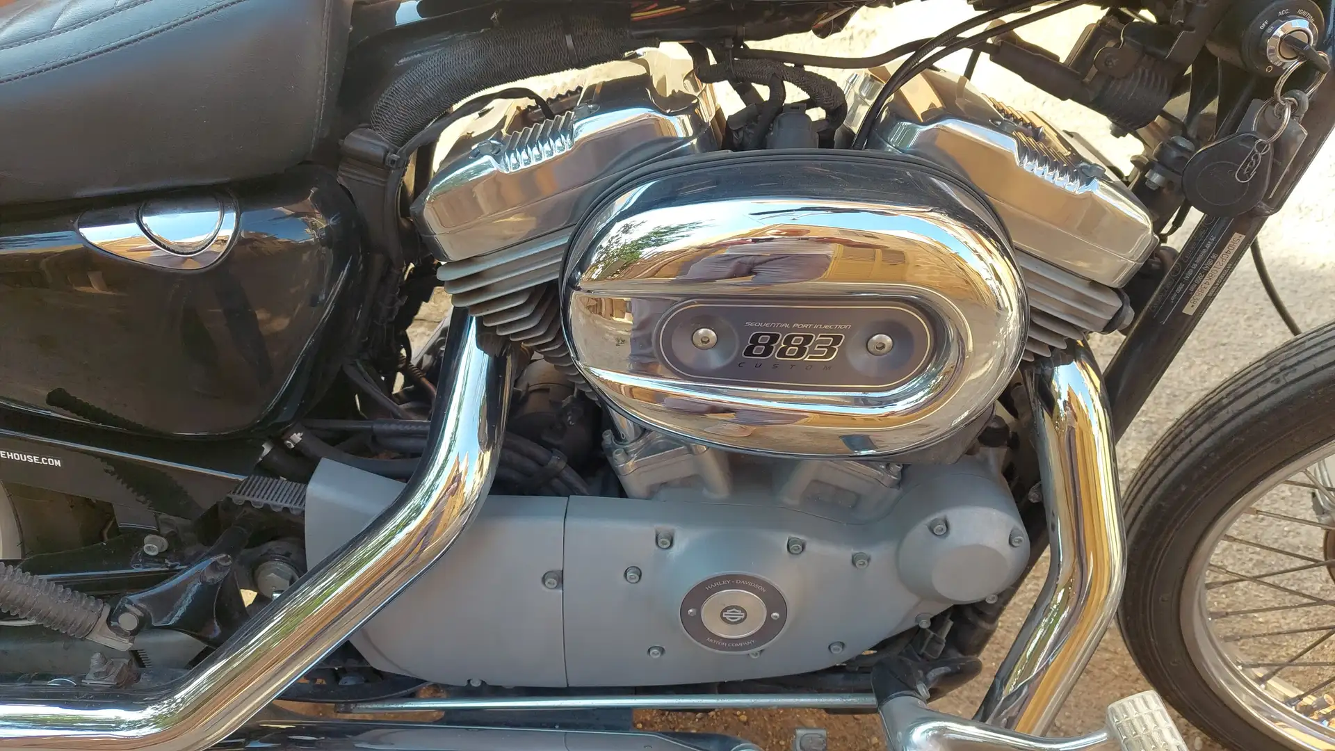 Harley-Davidson Sportster 883 Custom Nero - 2