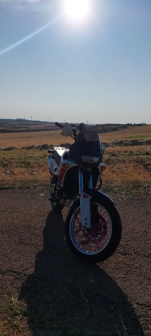 Aprilia Pegaso 650 Aprilia Pegaso 650 (1992) - Iscritta FMI - - 2