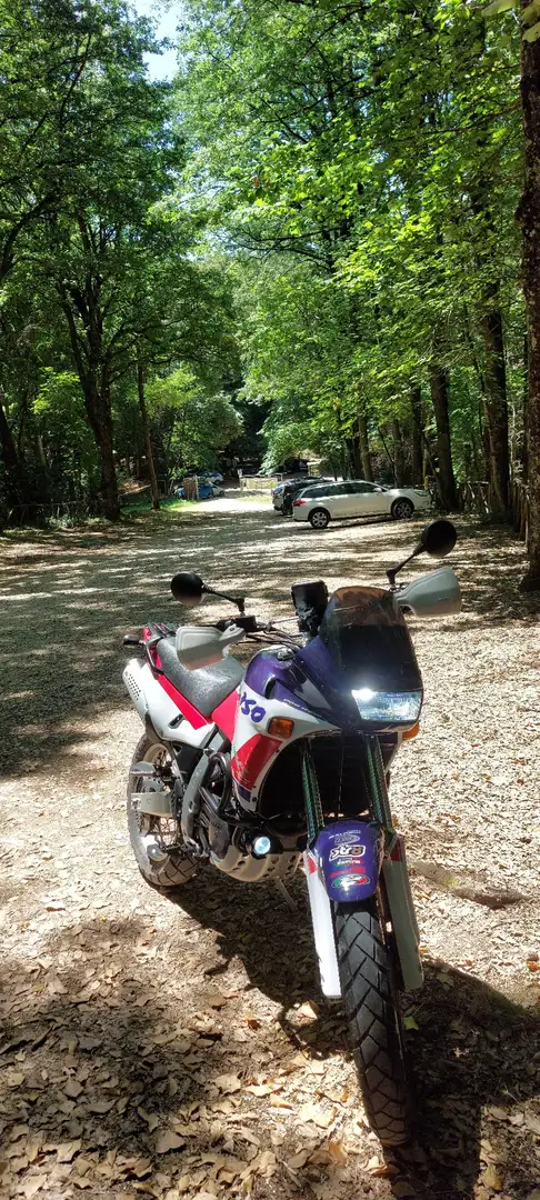 Aprilia Pegaso 650 Aprilia Pegaso 650 (1992) - Iscritta FMI - - 1