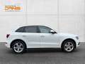 Audi Q5 2,0 TDI quattro S-tronic S-Line AHV/NAVI/XENON/... Weiß - thumbnail 3