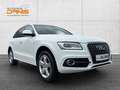 Audi Q5 2,0 TDI quattro S-tronic S-Line AHV/NAVI/XENON/... Weiß - thumbnail 7
