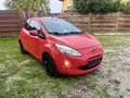 Ford Ka/Ka+ Collection 1.2i Rot - thumbnail 6