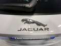 Jaguar F-Pace F-Pace 2.0d i4 Prestige 180cv auto my19 - thumbnail 14