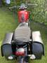 Triumph Street Twin Rood - thumbnail 5