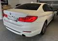 BMW 520 d Sport Line *360*4-ZON.*TOTW.*Parkassistent-P.* Weiß - thumbnail 8