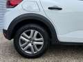 Dacia Sandero Stepway Essential TCe 90 Weiß - thumbnail 8