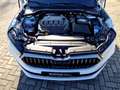 Skoda Superb Combi 2.0 TDI 4x4 DSG Matrix Navi AHK Standhzg. Weiß - thumbnail 15