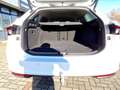 Skoda Superb Combi 2.0 TDI 4x4 DSG Matrix Navi AHK Standhzg. Weiß - thumbnail 16
