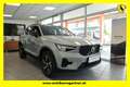 Volvo XC40 B3 Plus Dark Aut. Grau - thumbnail 1