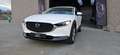 Mazda CX-30 CX-30 2.0i SKYACTIV-G MHE Skydrive Luxury*GARANTIE Blanc - thumbnail 5