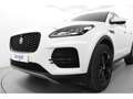 Jaguar E-Pace 2.0D I4 Standard AWD Aut. 163 Blanco - thumbnail 7