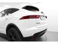Jaguar E-Pace 2.0D I4 Standard AWD Aut. 163 Blanco - thumbnail 14