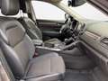 Renault Koleos 2.0 dCi 4x4 Energy Limited *LED*KAMERA* Grau - thumbnail 12