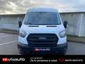 Ford Transit 310 96KW L2H2 VAN AMBIENTE DELANTERA Weiß - thumbnail 1