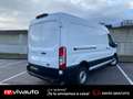 Ford Transit 310 96KW L2H2 VAN AMBIENTE DELANTERA Weiß - thumbnail 9