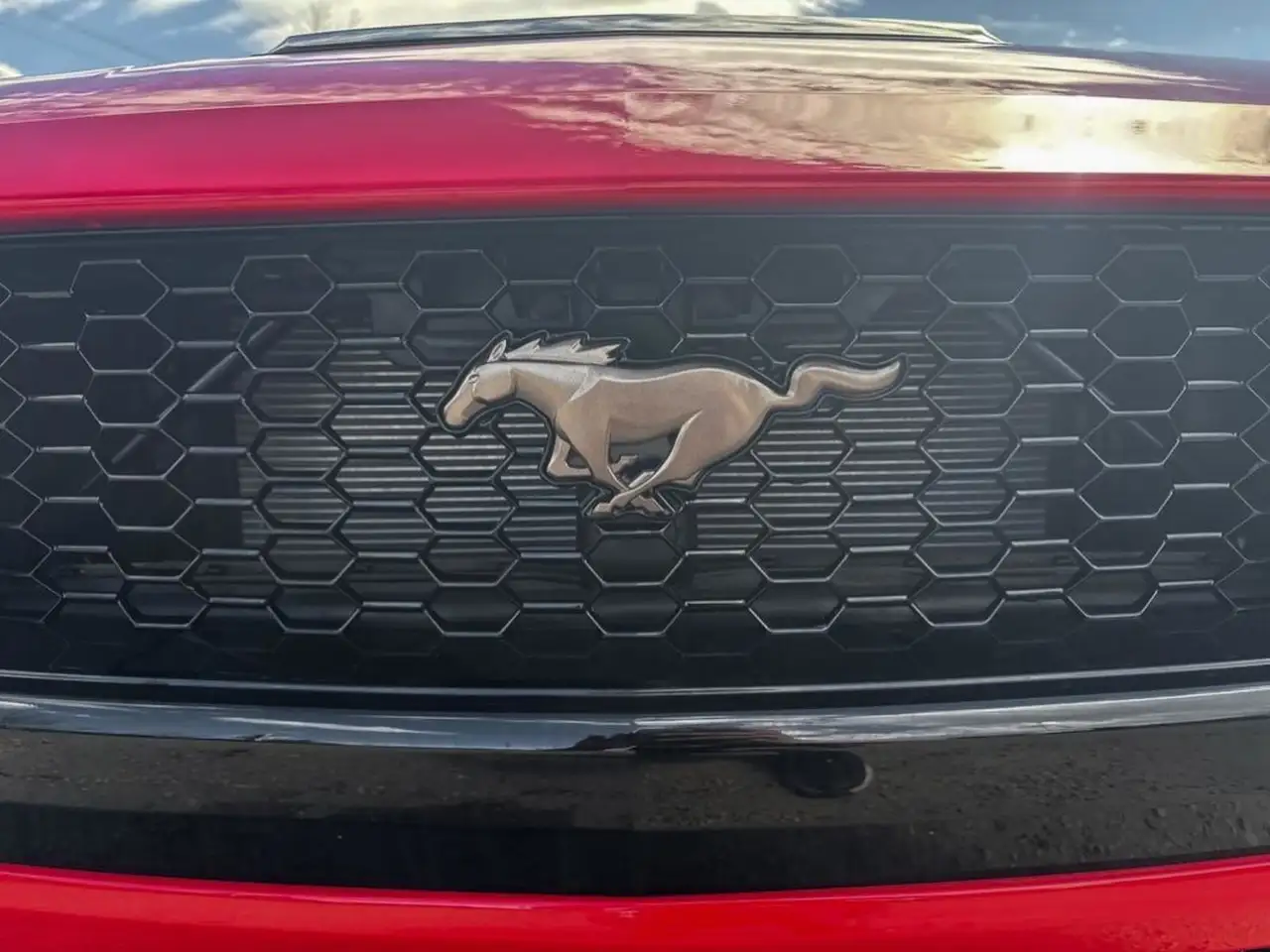 Ford Mustang снимка Ford Mustang