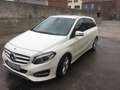 Mercedes-Benz B 200 B 200 d Blanc - thumbnail 1