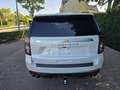 Chevrolet Suburban 6.2 V8 € 76.500,- excl btw Biały - thumbnail 4