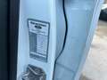 Ford Kuga Kuga 2.0 tdci powershift my19 Bianco - thumbnail 12