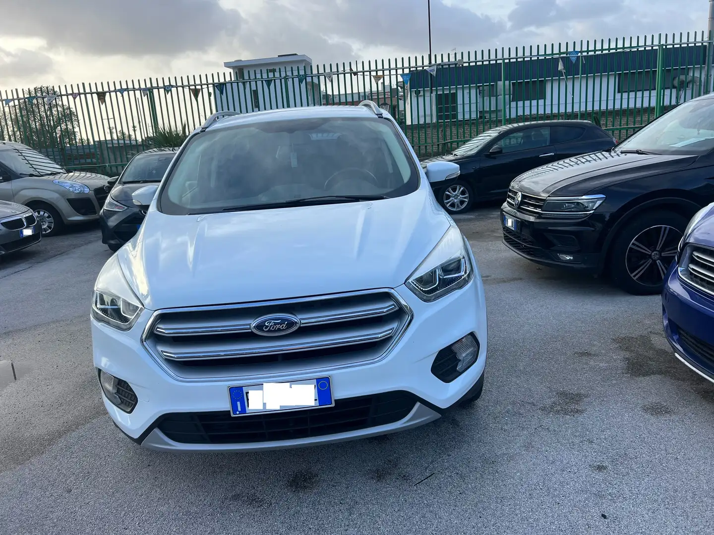 Ford Kuga Kuga 2.0 tdci powershift my19 Bianco - 2
