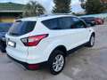 Ford Kuga Kuga 2.0 tdci powershift my19 Bianco - thumbnail 4