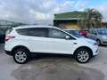 Ford Kuga Kuga 2.0 tdci powershift my19 Bianco - thumbnail 9