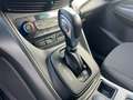 Ford Kuga Kuga 2.0 tdci powershift my19 Bianco - thumbnail 11