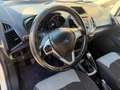 Ford EcoSport 1.5 tdci - NEOP. - 12 MESI DI GARANZIA - Blanc - thumbnail 7