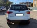Ford EcoSport 1.5 tdci - NEOP. - 12 MESI DI GARANZIA - Blanc - thumbnail 3