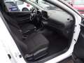 Hyundai BAYON Bayon Comfort Line 1.2 MPI y5bc1-O2 Weiß - thumbnail 26
