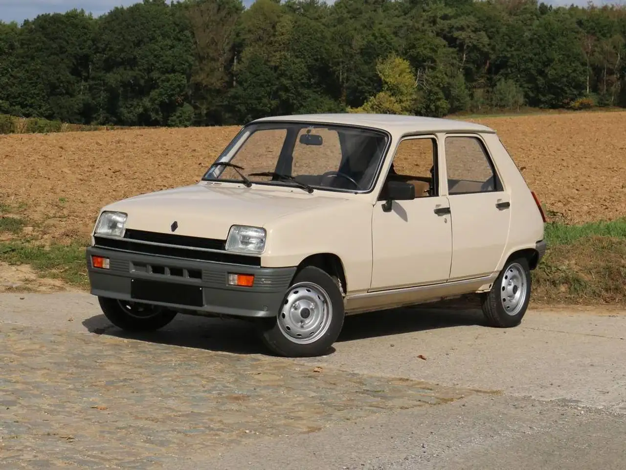 Renault R 5 TL - 63.000 km - Originale, foto 1
