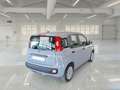 Fiat Panda Panda 2021 1.0 firefly hybrid Easy 5Posti Grigio - thumbnail 4