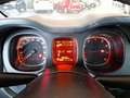 Fiat Panda Panda 2021 1.0 firefly hybrid Easy 5Posti Grigio - thumbnail 9