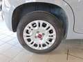 Fiat Panda Panda 2021 1.0 firefly hybrid Easy 5Posti Grigio - thumbnail 6