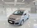 Fiat Panda Panda 2021 1.0 firefly hybrid Easy 5Posti Grigio - thumbnail 1