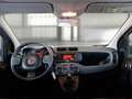 Fiat Panda Panda 2021 1.0 firefly hybrid Easy 5Posti Grigio - thumbnail 8